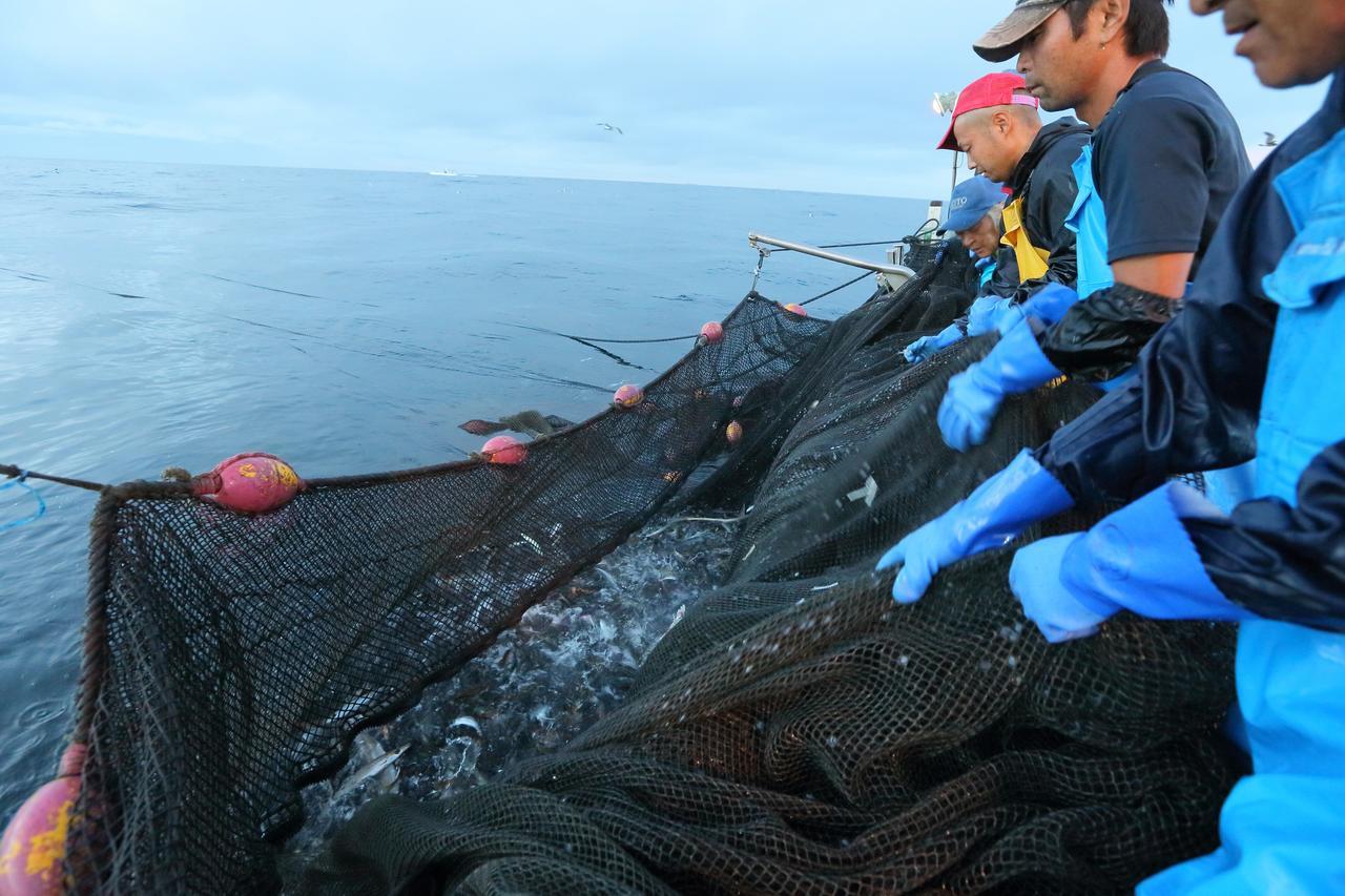 Hanashibuki Tateyama  Extérieur photo